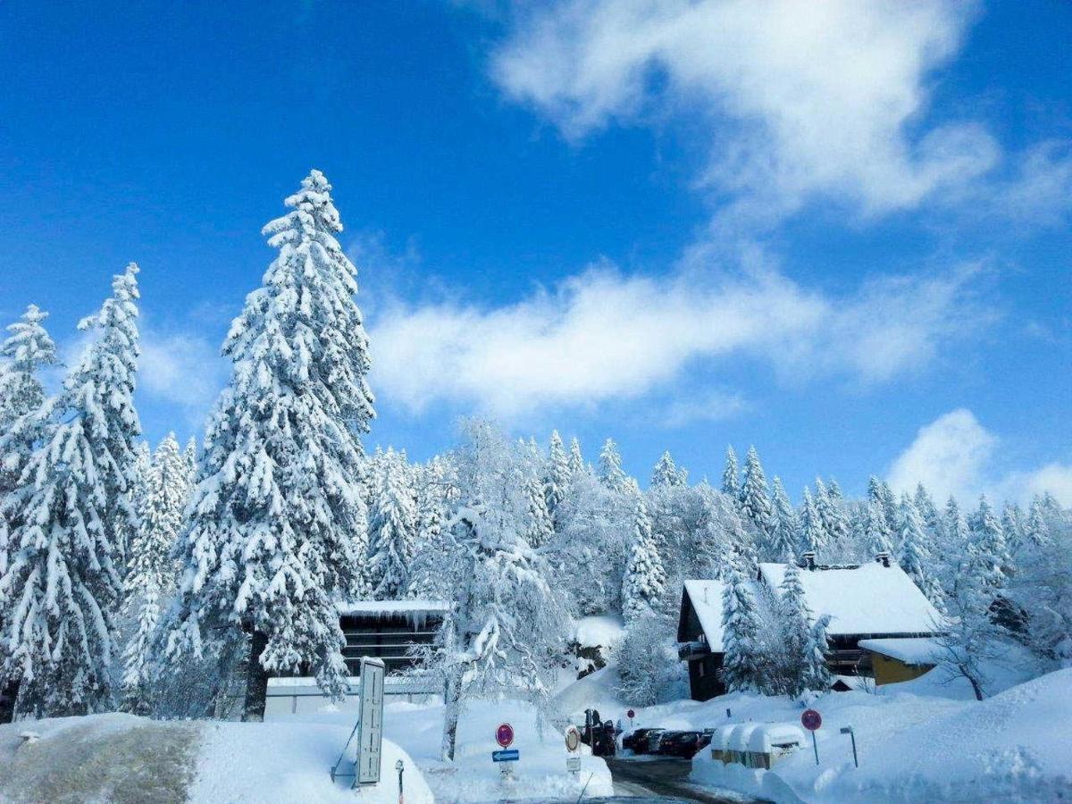 H&P Touristik Residenz Grafenmatt Gra-3-1 Apartment Фелдберг Екстериор снимка